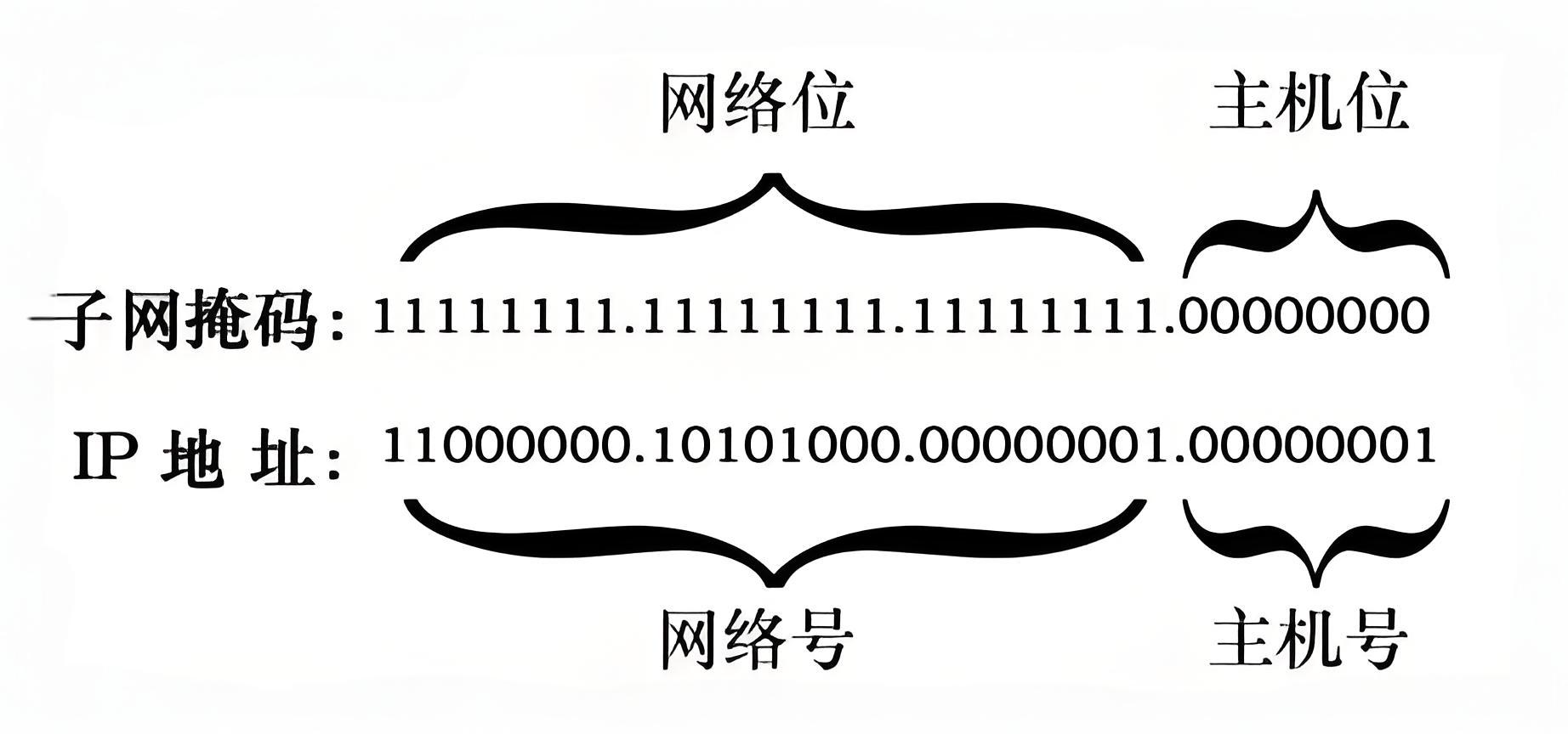 IP 地址网络位与主机位示意